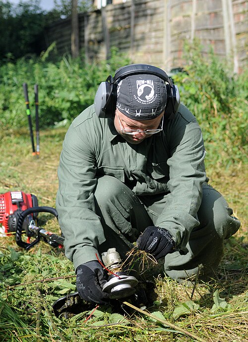 Garden clearance worker cutting back dense overgrown vegetation in a residential garden